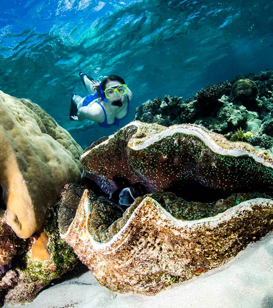 <b>Luxury Reef Charters</b> for <b>Exceptional Experiences</b> and Service.