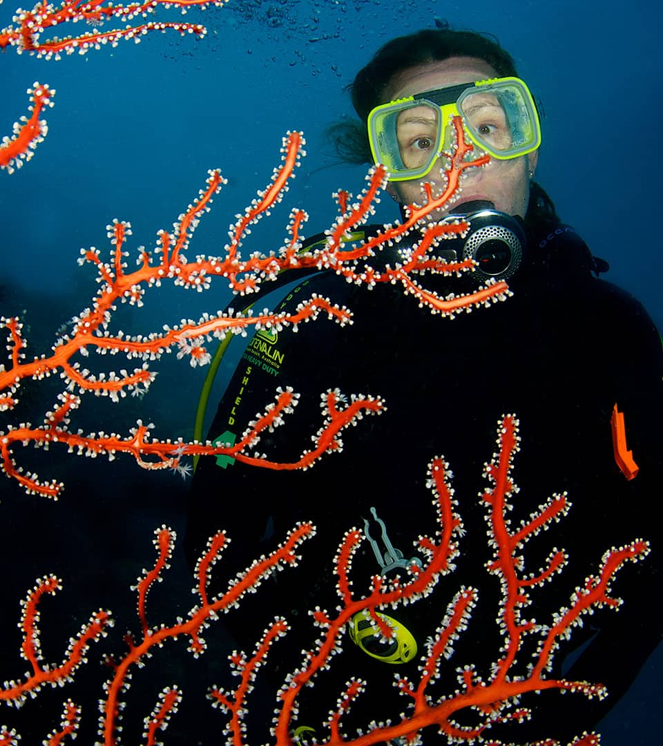 <b>Snorkel and dive</b> the Great Barrier Reef on a <b>private charter.</b>