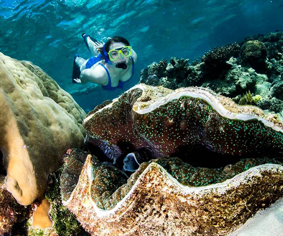 <b>Luxury Reef Charters</b> for <b>Exceptional Experiences</b> and Service.