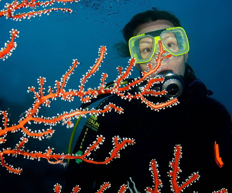 <b>Snorkel and dive</b> the Great Barrier Reef on a <b>private charter.</b>