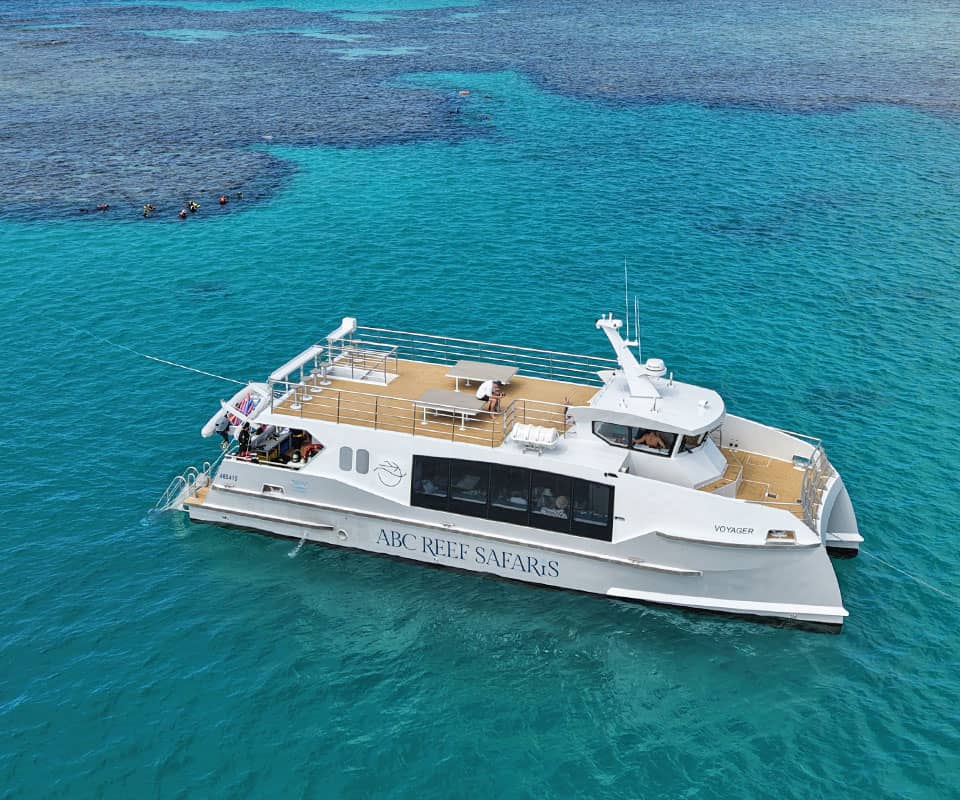 <b>Private Diving Charters</b> with Experience Behind Every Dive.
