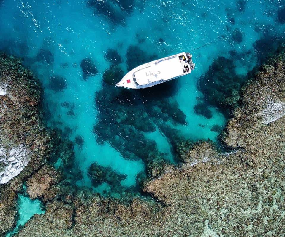 Our <b>Great Barrier Reef</b> charter boats visit <b>the best destinations. </b>