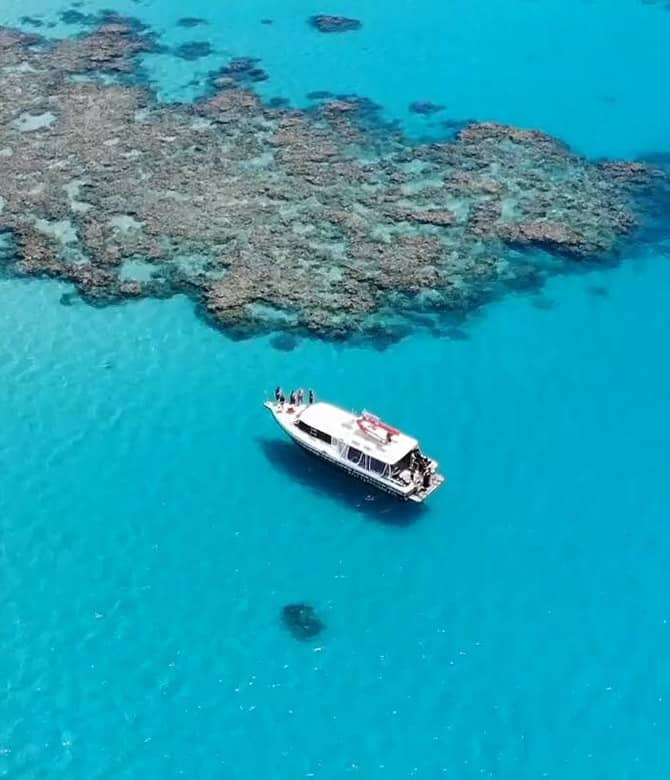 Opal Reef