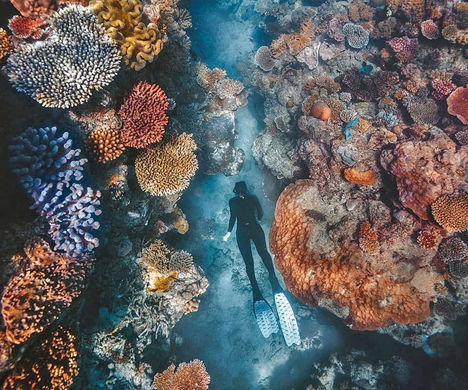 <b>Snorkelling and diving</b> on the Great Barrier Reef 