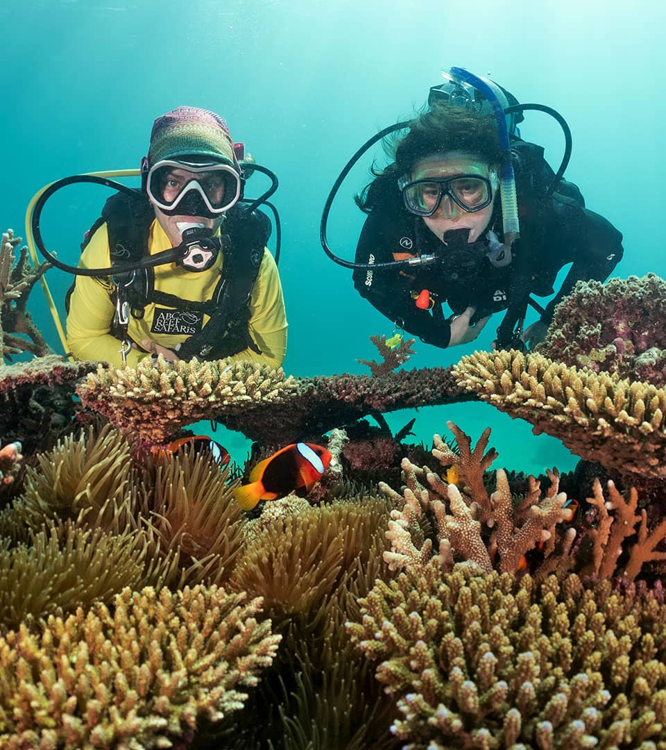 <b>Explore the Reef</b> With An <b>Experienced Dive Professional.</b>