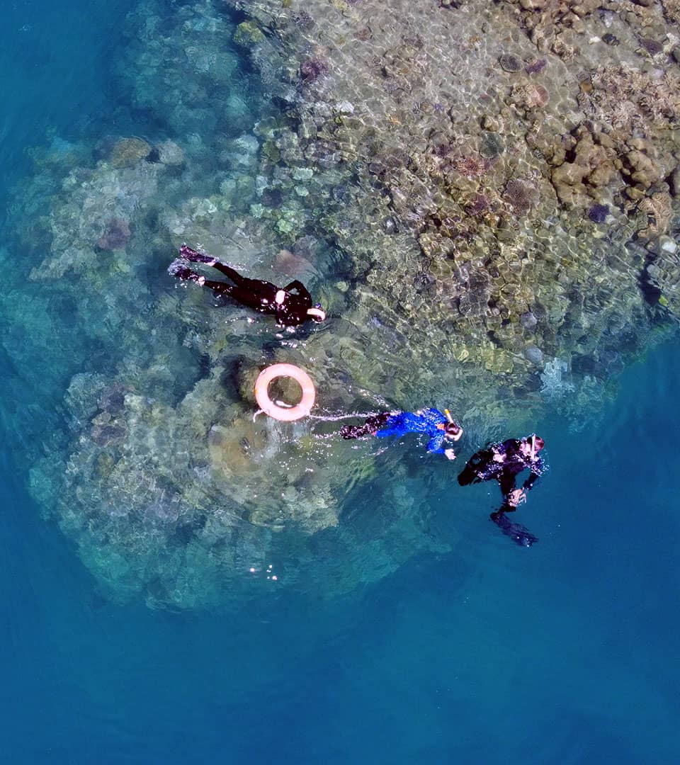 <b>Explore the Reef </b>With A <b>Marine Biologist</b> or Naturalist Guide.