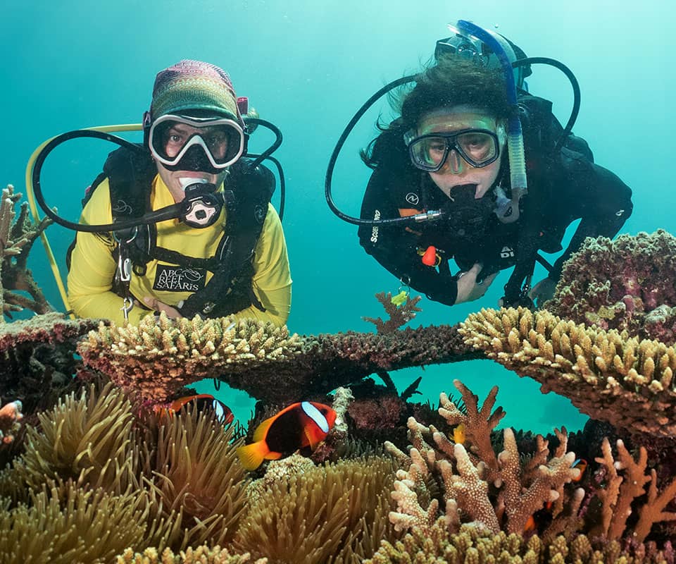 <b>Explore the Reef</b> With An <b>Experienced Dive Professional.</b>