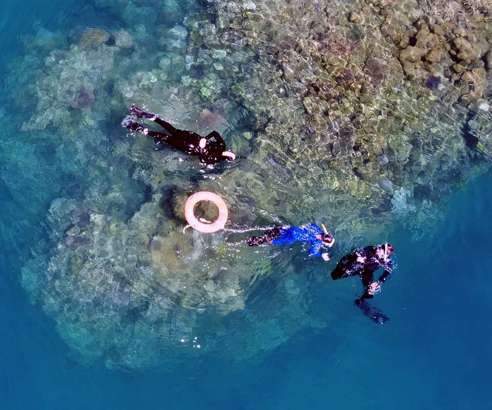 <b>Explore the Reef </b>With A <b>Marine Biologist</b> or Naturalist Guide.